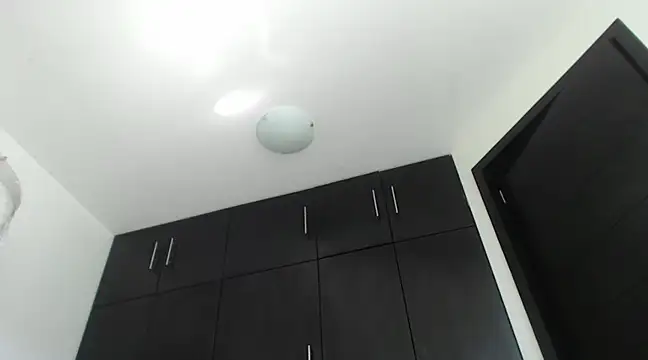 Snapshot of Mysteriousexy chatting on 01-30-25, 05:28 Mysteriousexy online show from 01-30-25, 05:28