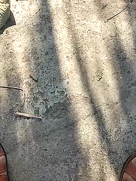 Pitercom online show from 11-12-25, 09:10