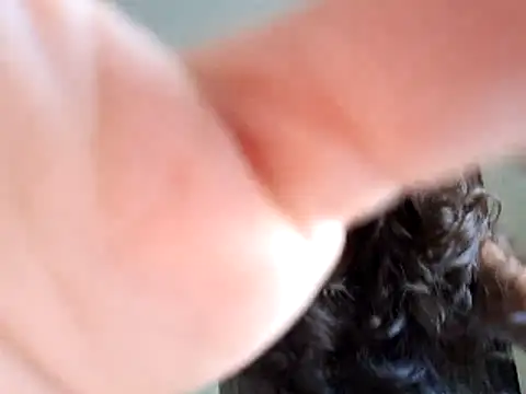 Snapshot of Abysparadise chatting on 11-11-25, 05:46 Abysparadise online show from 11-11-25, 05:46