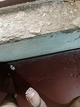 Snapshot of MalluBoyForGirls chatting on 02-20-25, 08:17 MalluBoyForGirls online show from 02-20-25, 08:17