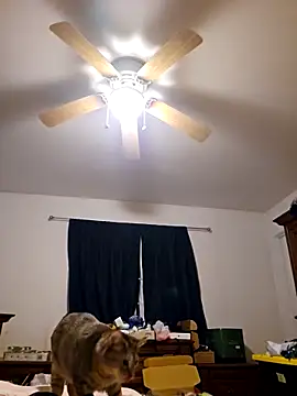 ScarletCallings420 online show from 02-19-25, 03:27