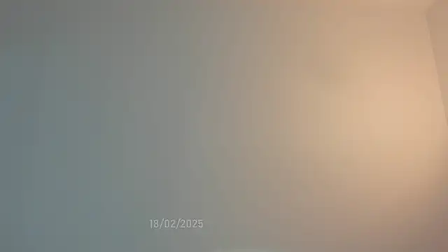 sweetest bella online show from 02-18-25, 09:31