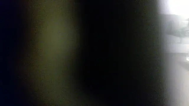 Snapshot of palidin1 chatting on 02-01-26, 07:51 palidin1 online show from 02-01-26, 07:51