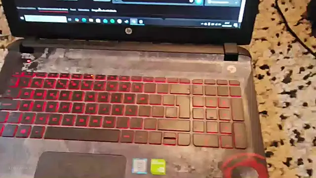 made in brazil online show from 01-11-26, 08:47