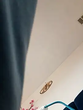 dickmedaddy27 online show from 01-17-26, 04:11