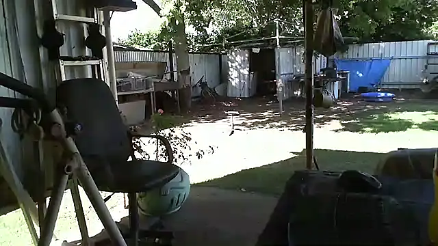 herbie010666 online show from 12-22-24, 06:06