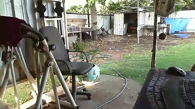 herbie010666 online show from 01-31-25, 08:11