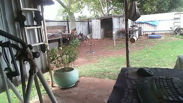 herbie010666 online show from 11-27-25, 04:25