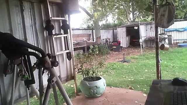 herbie010666 online show from 02-03-26, 06:40