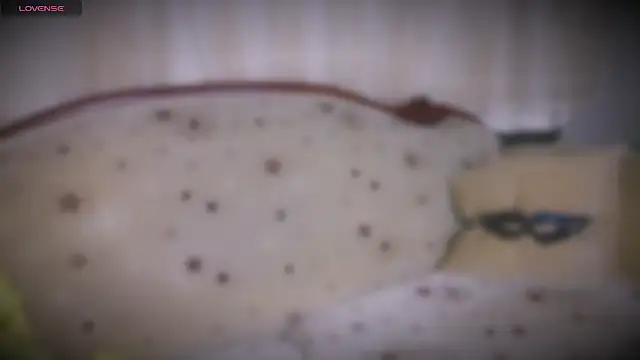 MERA arab online show from 01-19-25, 08:09