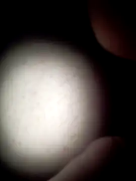 commonjust online show from 11-26-25, 05:19