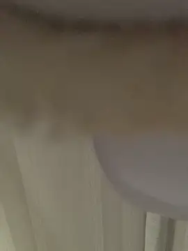 Snapshot of GHsveter chatting on 03-31-26, 10:37 GHsveter online show from 03-31-26, 10:37