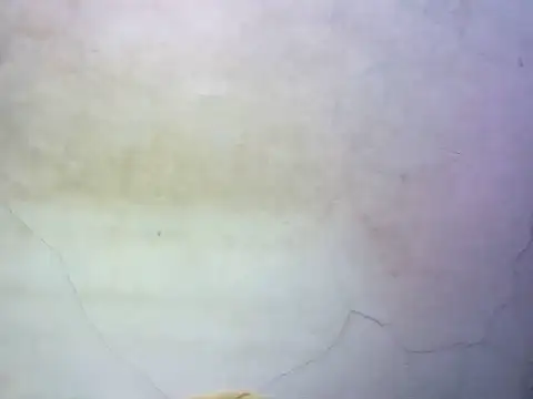 wet babexxx online show from 10-09-25, 10:30