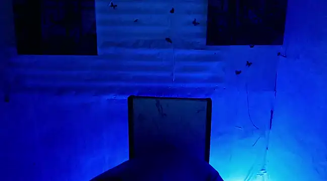 bbygrl Carol online show from 01-05-25, 10:32