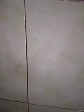 Snapshot of Xxxfill chatting on 11-27-25, 03:41 Xxxfill online show from 11-27-25, 03:41