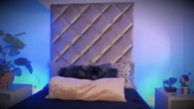 malaia hills online show from 11-10-25, 06:40