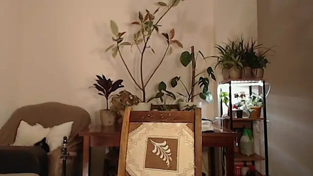 Snapshot of Herman_Elfi chatting on 03-13-25, 11:16 Herman Elfi online show from 03-13-25, 11:16