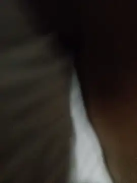 Taniyakuma online show from 12-24-24, 03:16