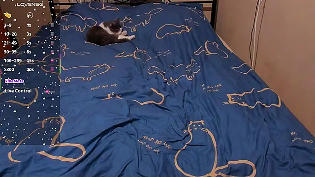 Snapshot of eva_zero chatting on 02-27-26, 02:28 eva zero online show from 02-27-26, 02:28