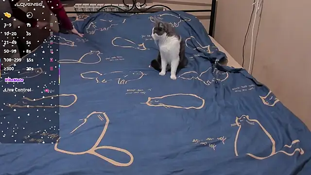 Snapshot of eva_zero chatting on 03-03-26, 02:01 eva zero online show from 03-03-26, 02:01