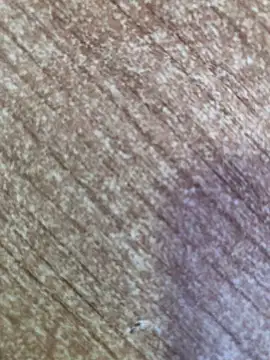 gokhanbey34 online show from 10-26-25, 08:53