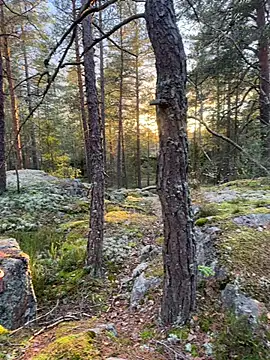 Andreashow online show from 10-19-25, 02:29