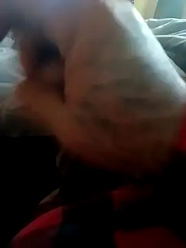 yellowwetfox online show from 11-22-25, 09:58