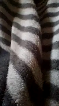 Lachezar12 online show from 02-16-25, 02:10