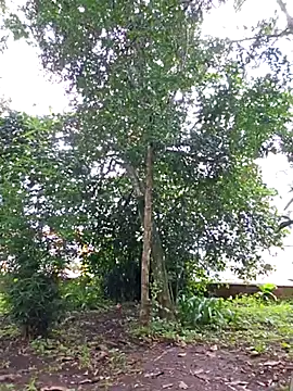 Snapshot of Yuky_ta chatting on 02-23-25, 05:50 Yuky ta online show from 02-23-25, 05:50