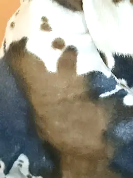 Diya 143 online show from 01-07-26, 05:43