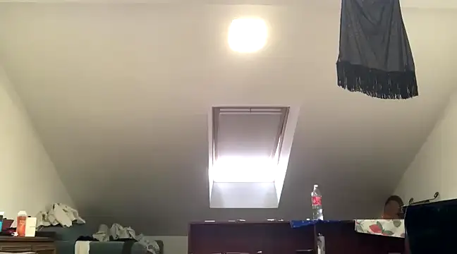 WildzMareNextLevel online show from 01-04-25, 09:54