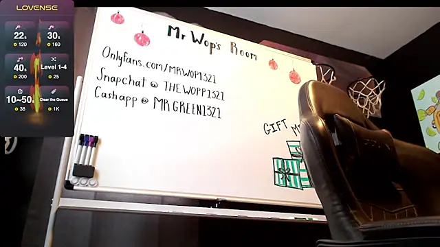 mrwop1 online show from 12-22-24, 04:38