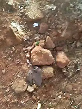 Gopal1243 online show from 12-15-24, 02:08