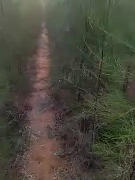 Gopal1243 online show from 03-01-25, 01:22