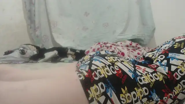 Kittywhiteass online show from 03-16-25, 11:57