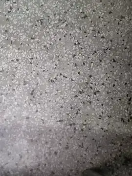 Rajibsorkar20 online show from 01-16-25, 09:19