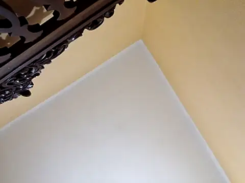 Snapshot of White_rabbit_ chatting on 10-29-25, 10:00 White rabbit online show from 10-29-25, 10:00