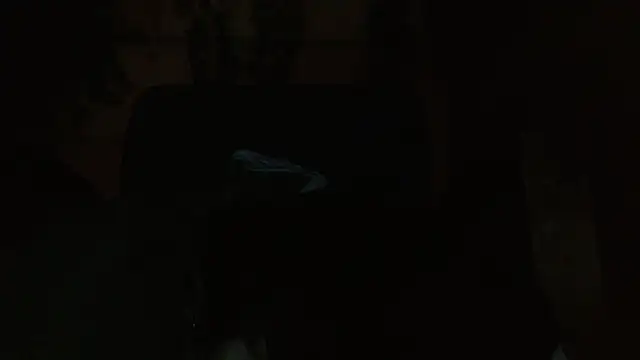 belindathompson online show from 11-07-25, 10:54