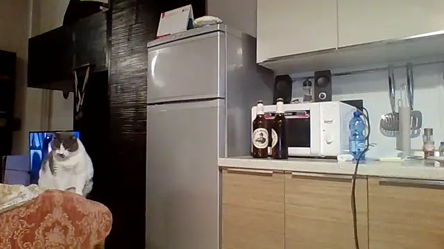 woww791 online show from 10-07-25, 05:43