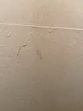 Snapshot of DreamerAsianGuy chatting on 01-19-25, 03:50 DreamerAsianGuy online show from 01-19-25, 03:50