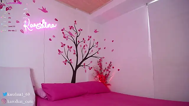 Snapshot of Karolina_1 chatting on 01-27-25, 04:22 Karolina 1 online show from 01-27-25, 04:22