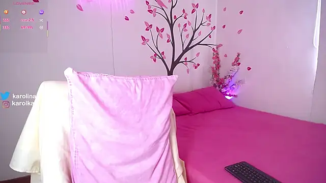 Snapshot of Karolina_1 chatting on 10-01-25, 02:01 Karolina 1 online show from 10-01-25, 02:01
