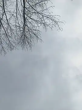 Iceblanca online show from 03-19-25, 09:58