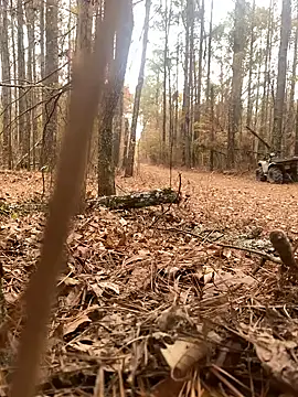 Snapshot of Themechanic420 chatting on 12-14-24, 07:14 Themechanic420 online show from 12-14-24, 07:14