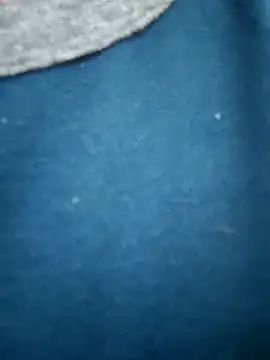 Bangalorebull online show from 10-17-25, 03:20