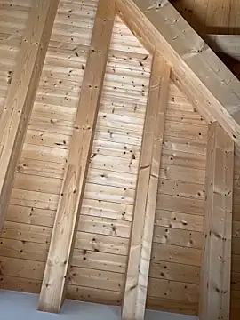 Snapshot of Fellix chatting on 10-27-25, 11:47 Fellix online show from 10-27-25, 11:47