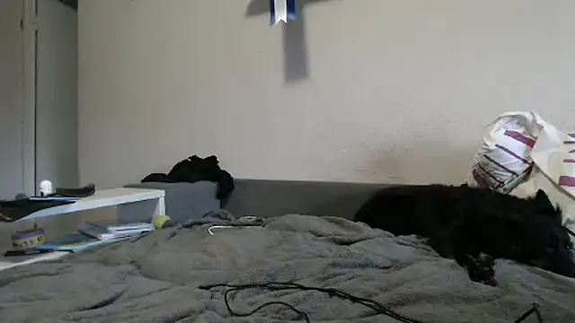 delightful sofi online show from 10-09-25, 02:26