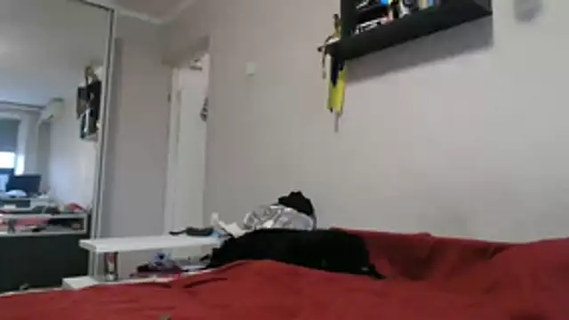 delightful sofi online show from 11-11-25, 12:27