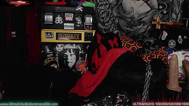 Silentmary online show from 02-18-25, 11:52