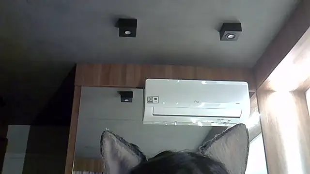 Skinny-Kitten online show from 09-30-25, 09:31
